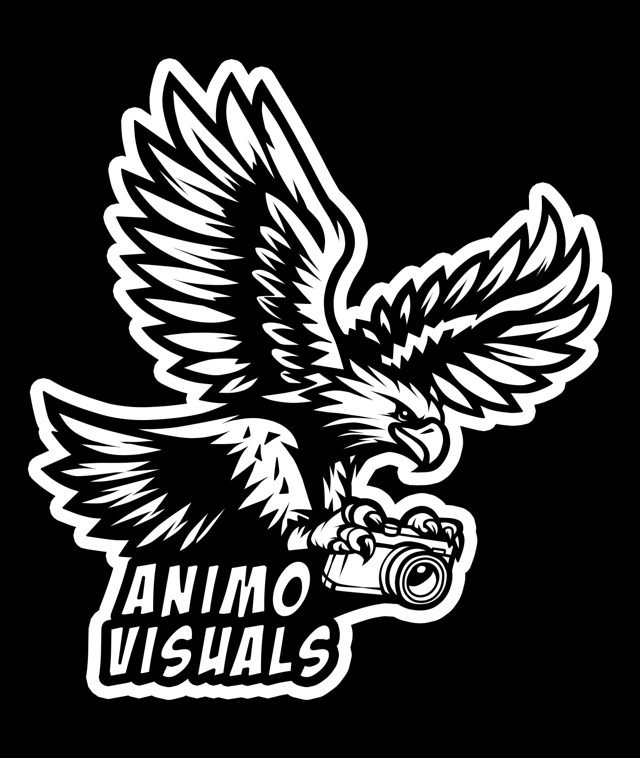 Animo Visuals eagle holding a camera